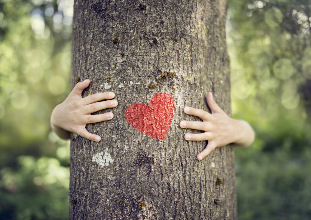 © shutterstock tree hugging